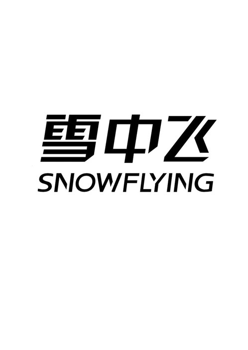 北斗-为雪中飞羽绒服提供拍摄服务